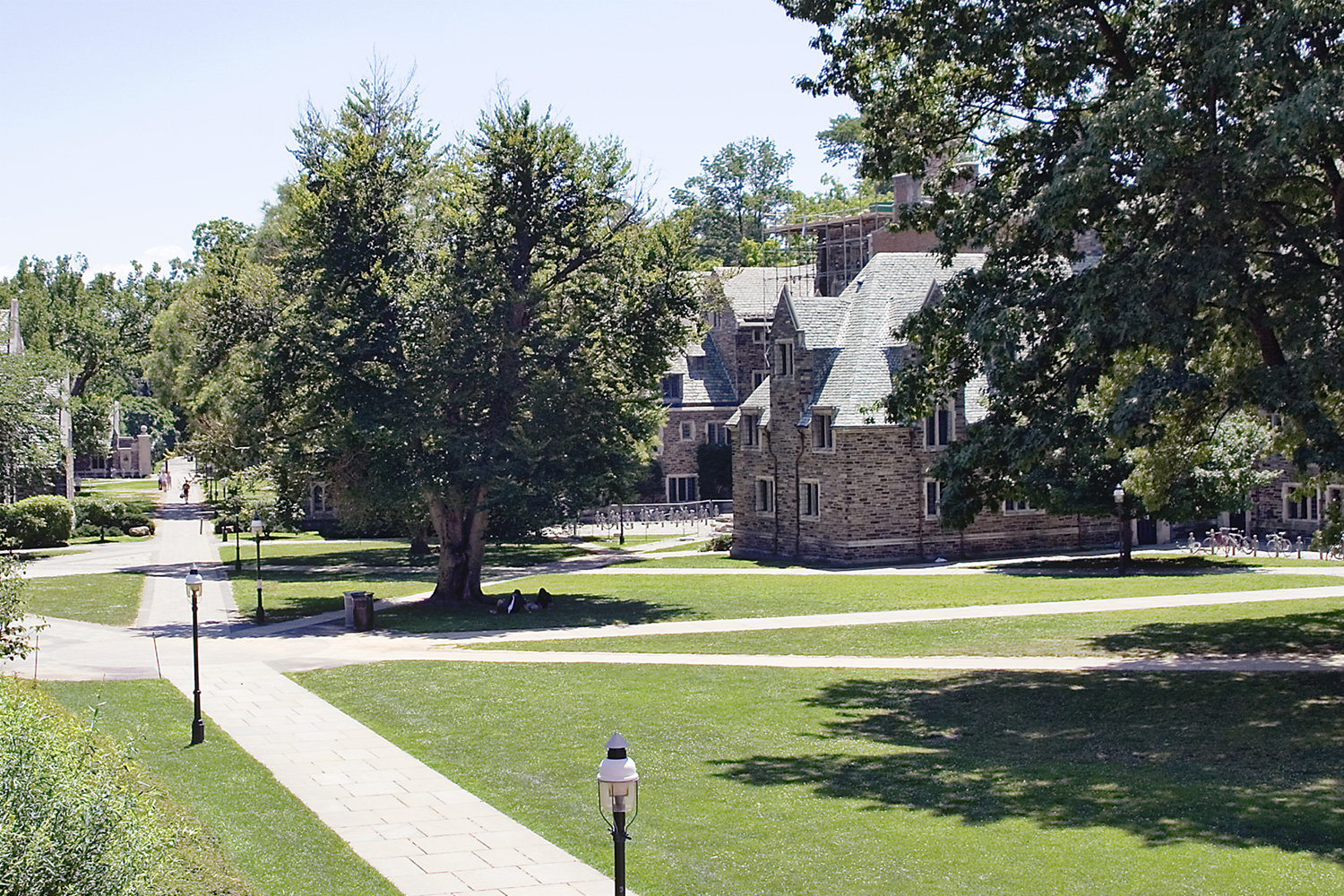 Mercer