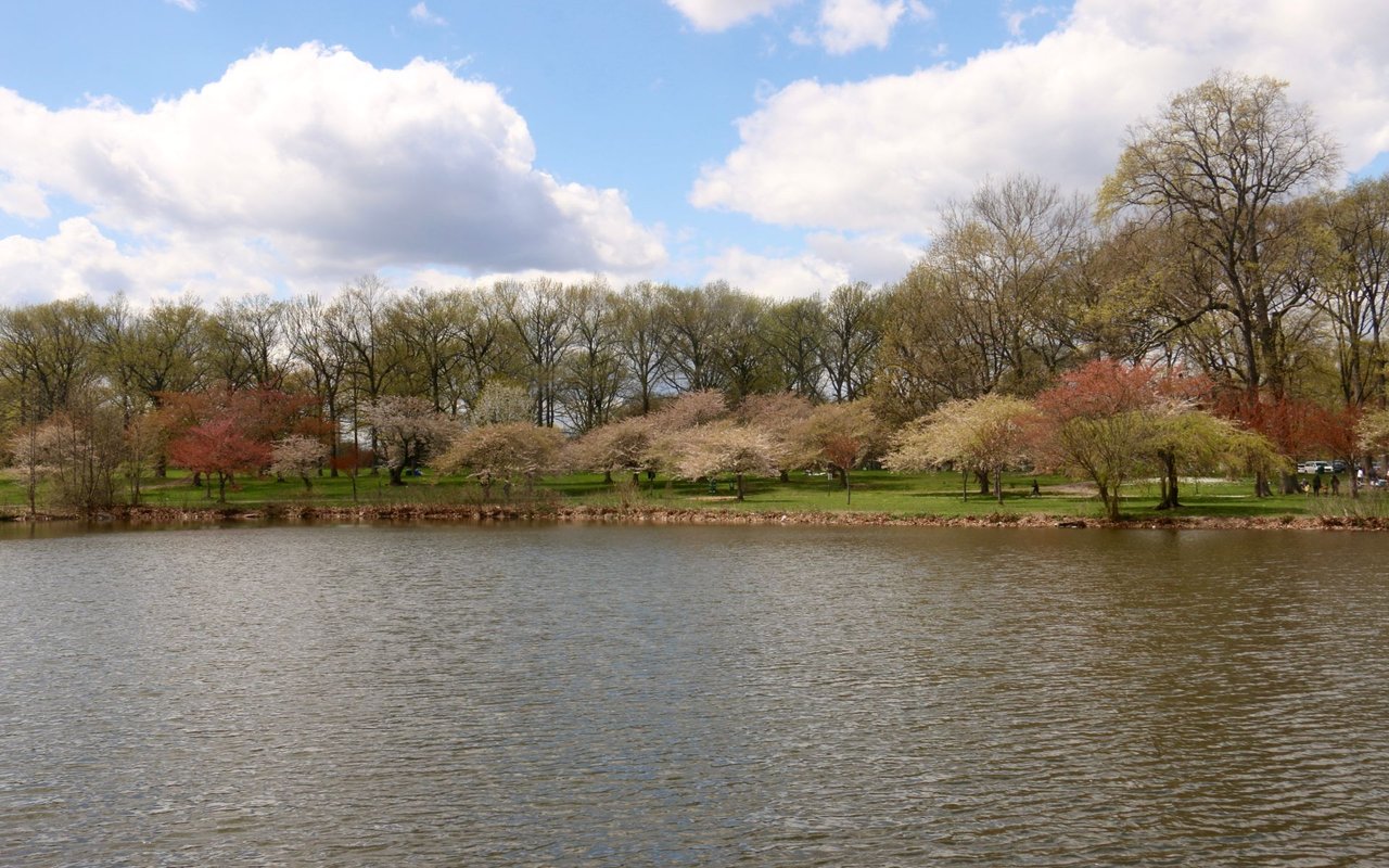 Roselle Park, NJ Real Estate Guide