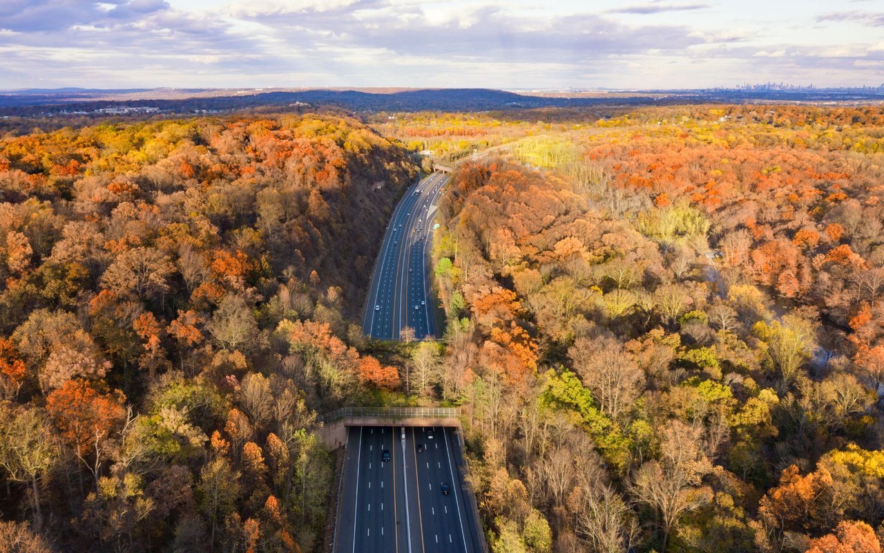 Watchung, NJ Real Estate Guide